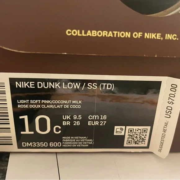 Nike dunk low ss td